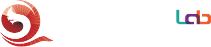 Baramizi Lab logo